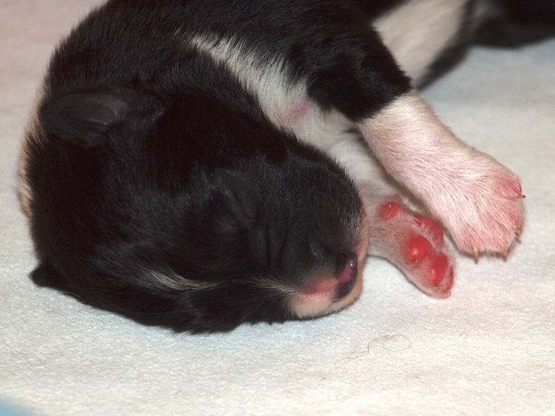 Cleo Finn - 3 dny / 3 days - 001