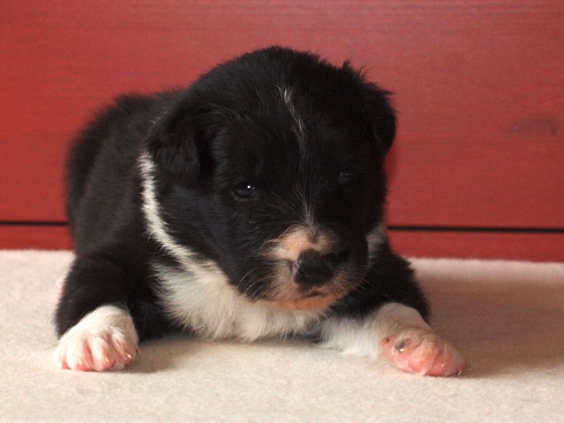 Cleo Finn - 17 dnů / 17 days - 003