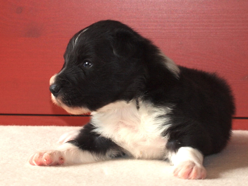 Cleo Finn - 17 dnů / 17 days - 004