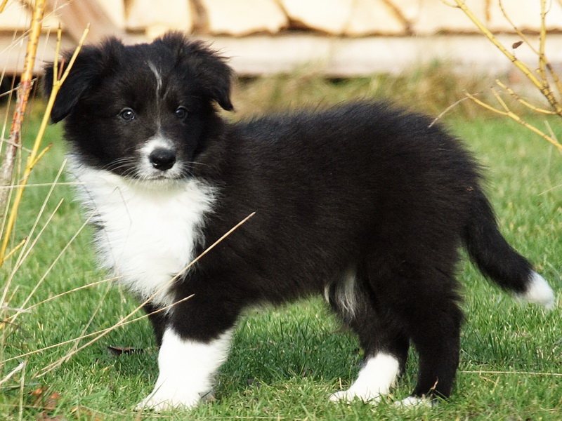 Cleo Finn - 7 týdnů / 7 weeks - 013