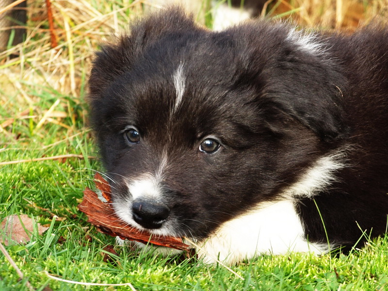 Cleo Finn - 7 týdnů / 7 weeks - 014