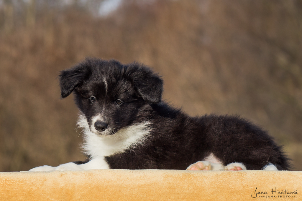 Cleo Finn - 7,5 týdne / 7,5 weeks - 017