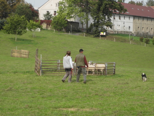 Zkouska_ZVOP_0115.jpg