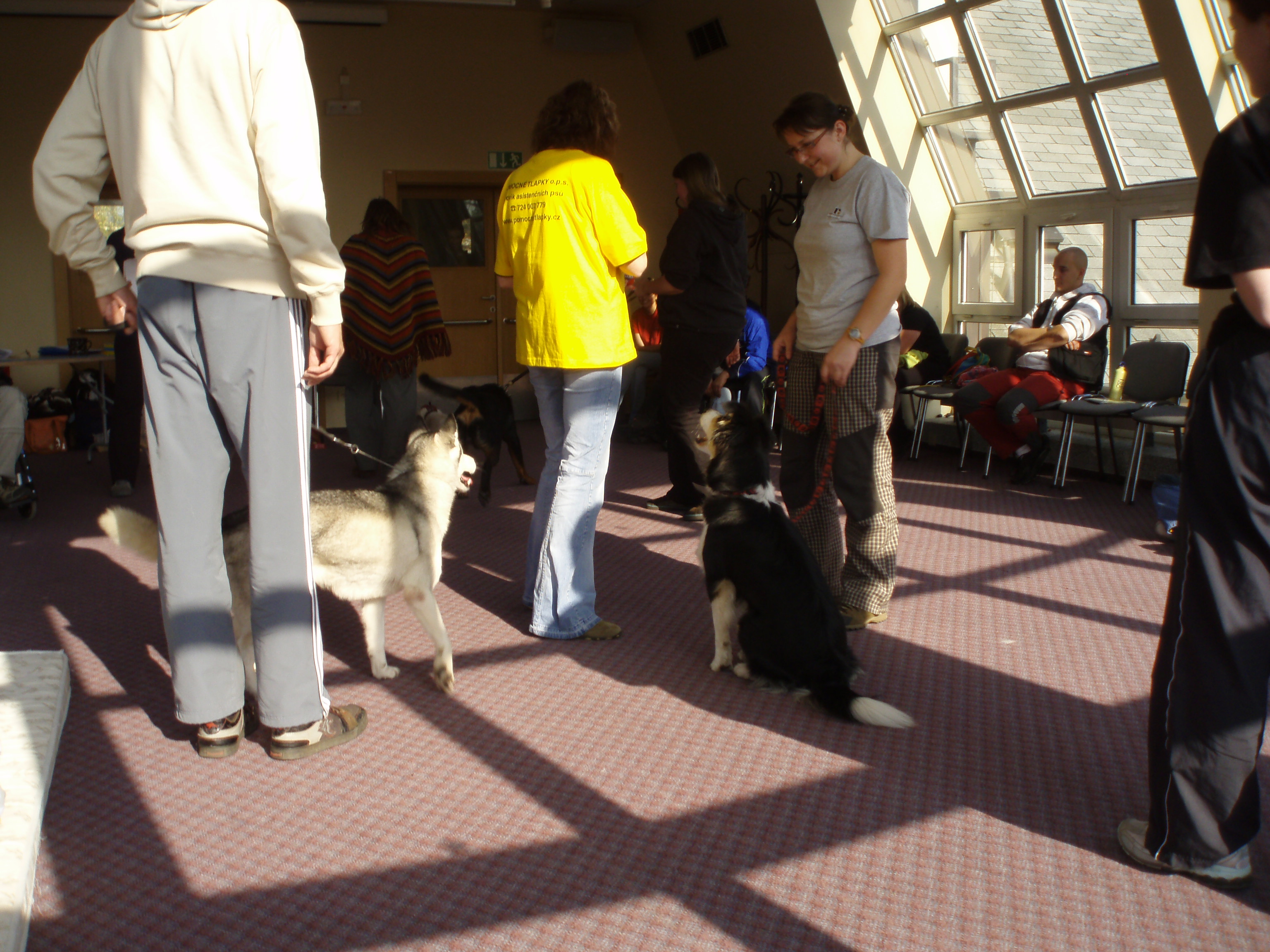 PA230161.JPG