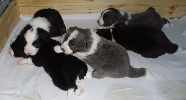 stenatka---spolecne---13