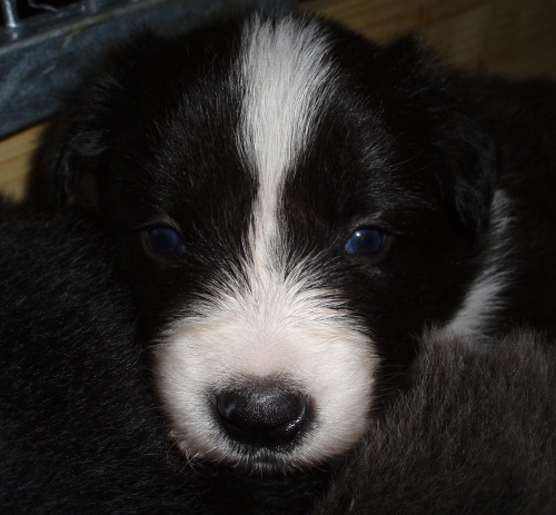 stenatka---spolecne---15