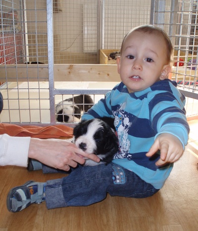 stenatka---spolecne---20