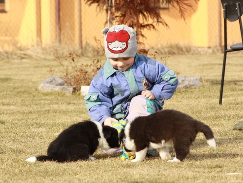 stenatka---spolecne---31