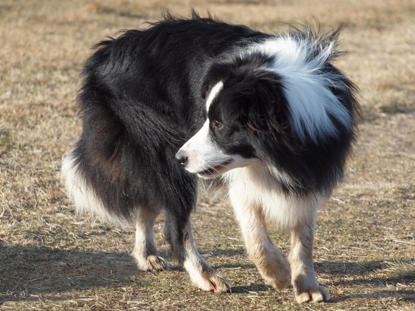 Aaron Happy Poneka 131 (9,5 měsíců /months)